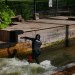 20220427-Surfen-57