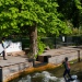 20220427-Surfen-71