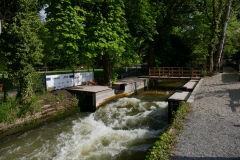 20220427-Surfen-1 20220427-Surfen-1