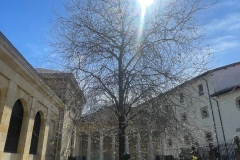 202303-Gernika-30-Web 202303-Gernika-30-Web