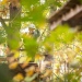 20231017-Kletterpark-5c-31-Web