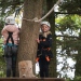 20231017-Kletterpark-5c-48-Web