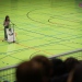 20241011-schuelersprecherwahl-7