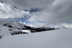 IMG_7133 IMG_7133