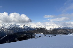 IMG_7166 IMG_7166
