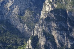 DSC02549