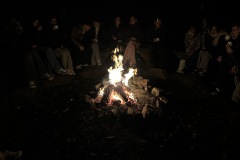 IMG_0594 IMG_0594
