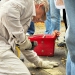 261008-Stolpersteine-04