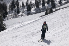 IMG_7387 IMG_7387