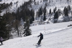 IMG_7388 IMG_7388